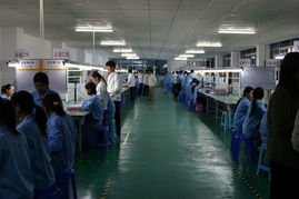 深圳市恒越达电子皮革及皮革制品批发行业分析