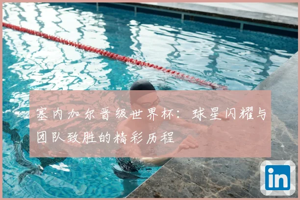 塞内加尔晋级世界杯:球星闪耀与团队致胜的精彩历程