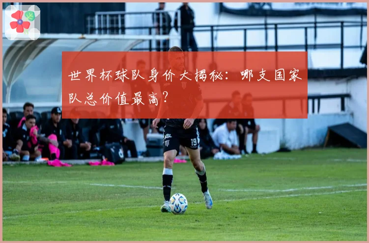 世界杯球队身价大揭秘:哪支国家队总价值最高?
