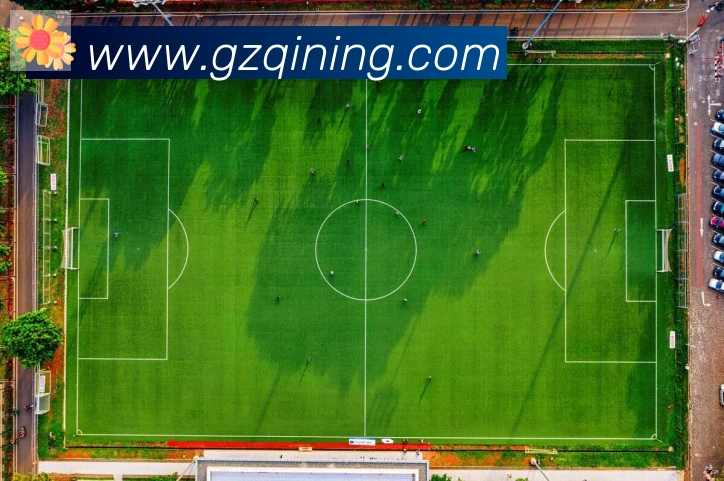 必一体育官网荣誉