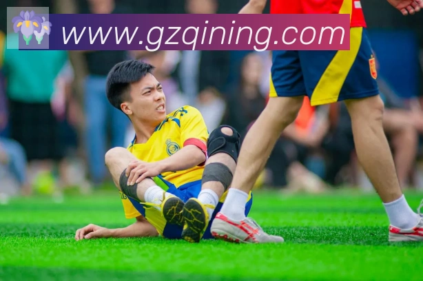 必一体育官网荣誉