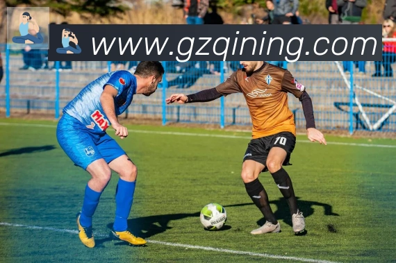 必一体育官网荣誉